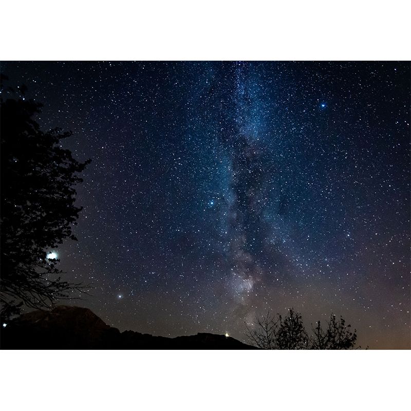 Mysterious Outer Space Wall Murals Stain Resistant Wall Art for Study Room