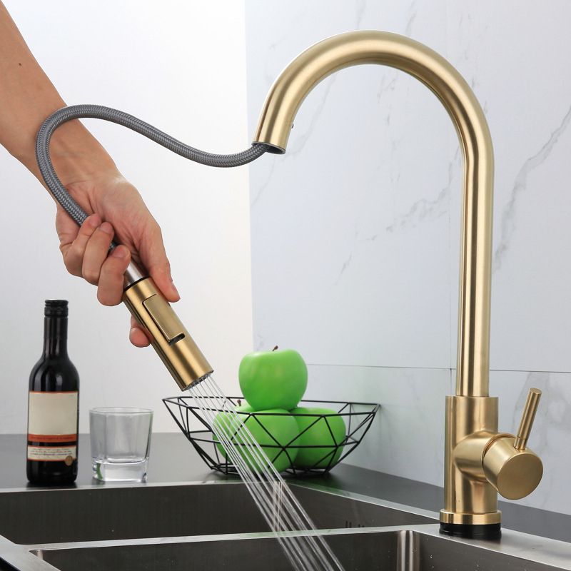 Traditional Pull down Kitchen Faucet Single Handle Faucet with Pull out Sprayer