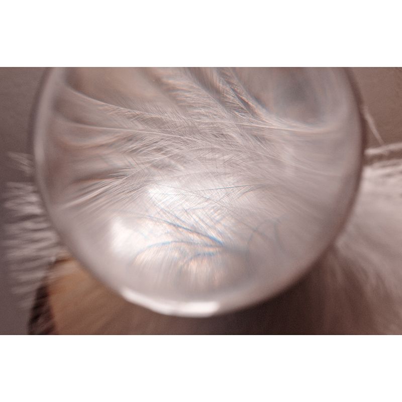 Mural Wallpaper with Feather Pattern Wall Covering for Living Room Bedroom