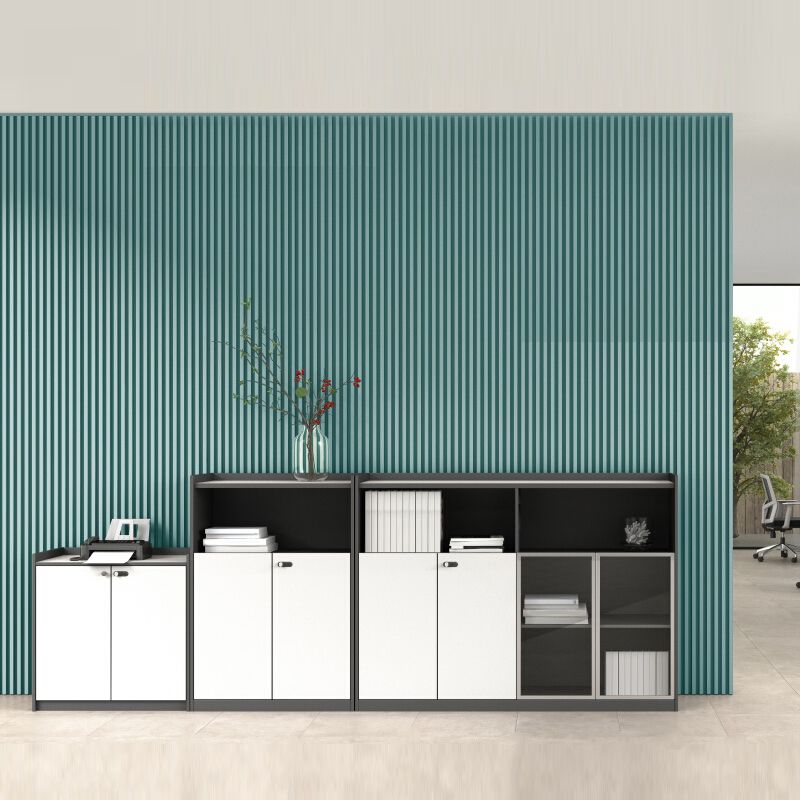 Modern Vertical File Cabinet Metal Filing Cabinet with Locking Storage