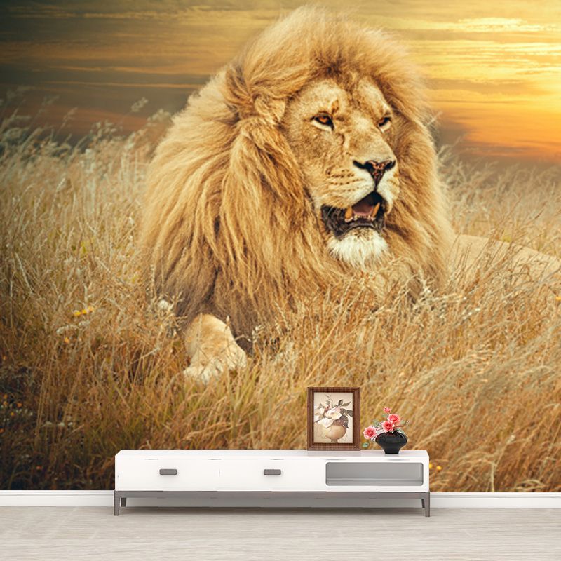 Contemporary Wild Animal Mural Brown Lion Lying on Ground at Sunset Wall Covering