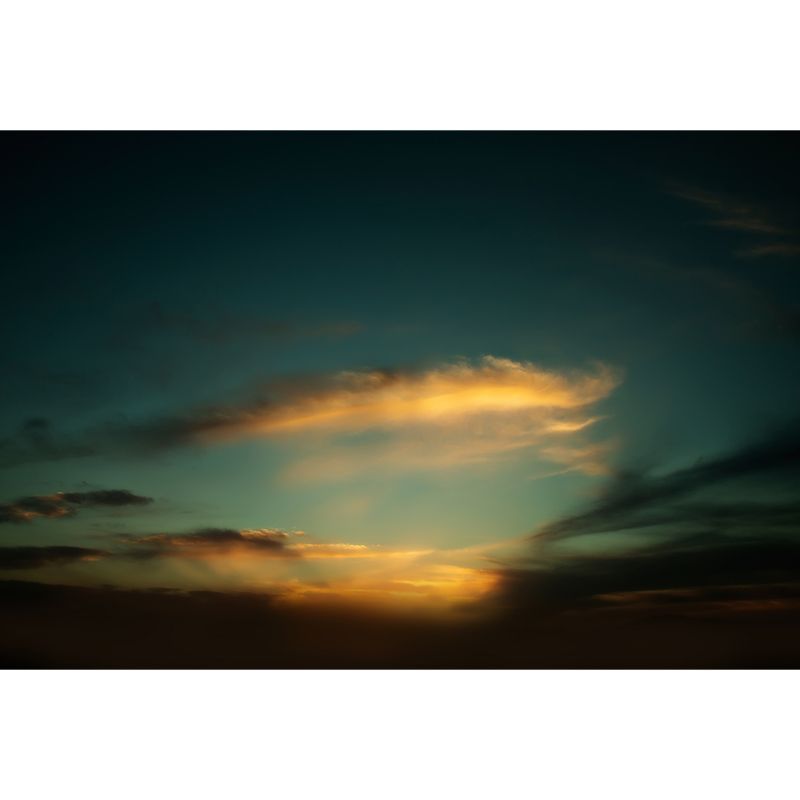 Contemporary Feather-Like Cloud Mural Green-Yellow Living Room Wall Art, Custom Made