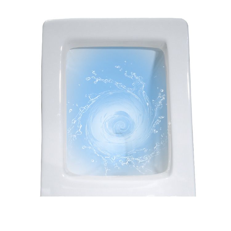 Skirted Traditional Toilet Floor Mount One-Piece Toilet with Slow Close Seat