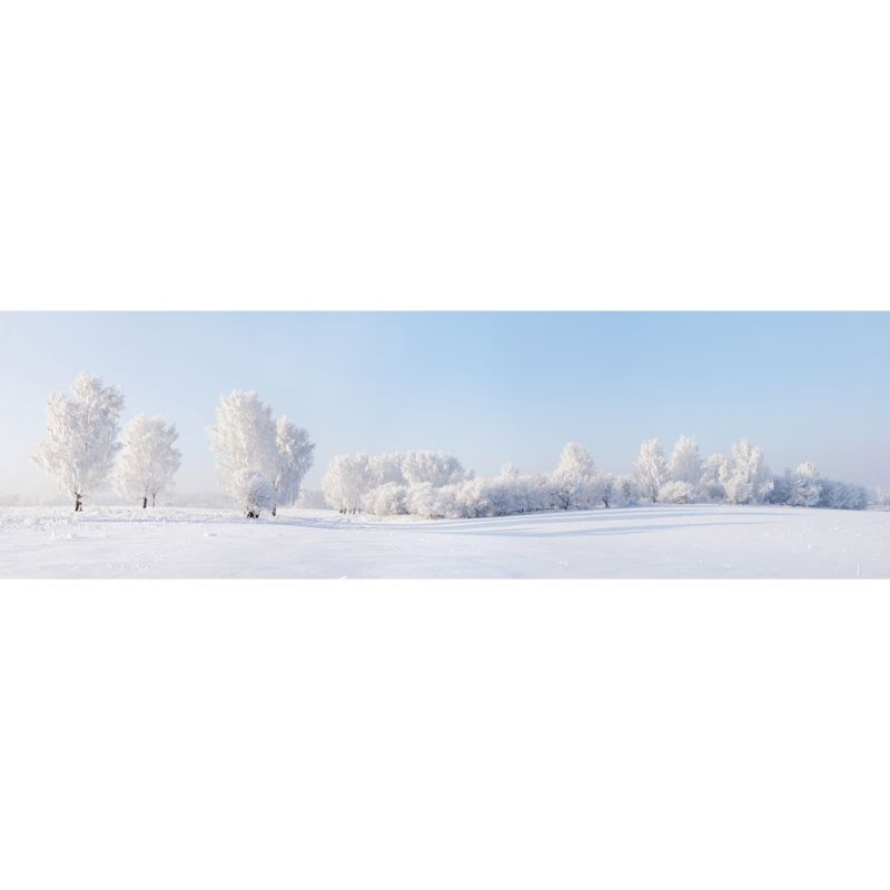 Extra Large Landscape Mural Nordic Pure Snow World Wall Art in White for Living Room