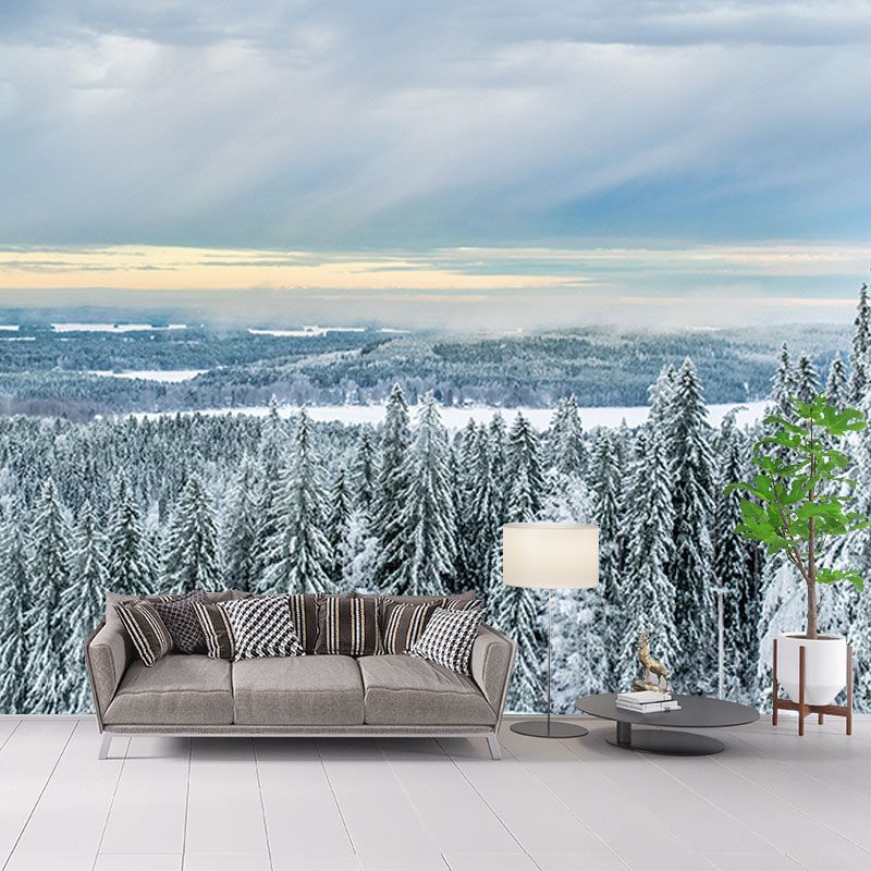 Snow Mountain Forest Mural Horizontal Photography Dining Room Wall Mural