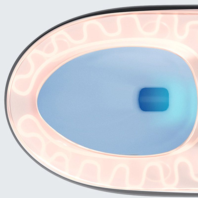 Modern Heated Seat Toilet ABS Floor Mounted Flush Toilet with Seat