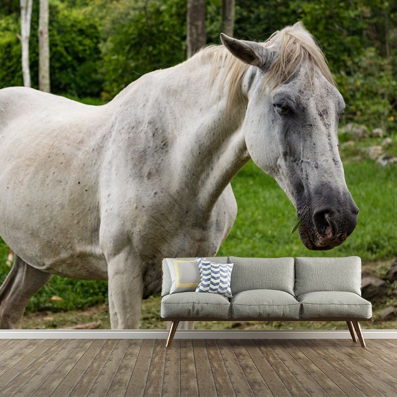 Horse Mural Contemporary Mildew Resistant Wall Covering for Living Room