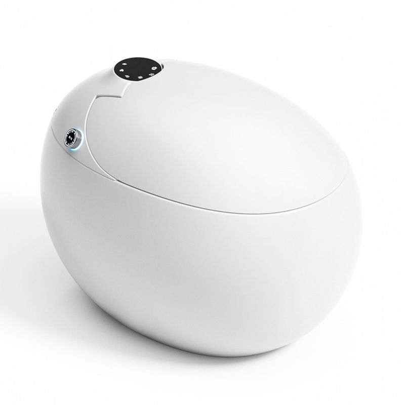 Modern 1-Piece Bidet Toilet Floor Mounted Toilet Bowl for Bathroom