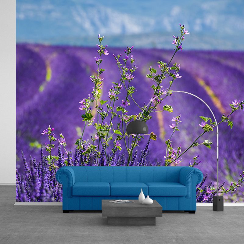 Purple Lavender Wall Mural Decals Home Decoration Sleeping Room Wall Decor