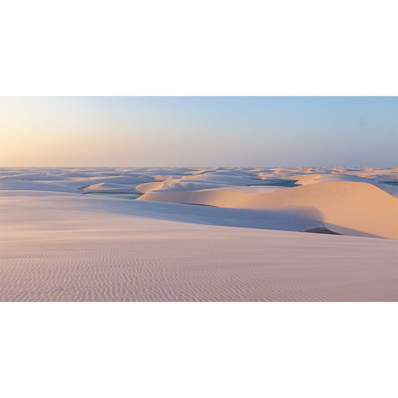 Modern Style Mural Wallpaper Desert Landscape Photography Indoor Wall Mural