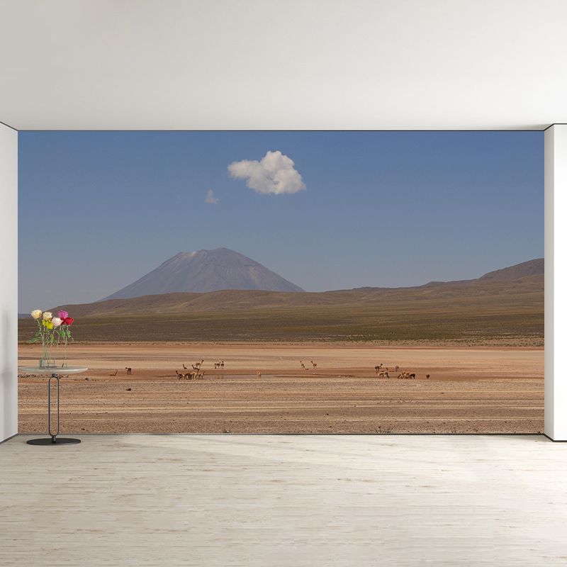 Room Mural Wallpaper Modern Desert Mildew Resistant Wall Decor
