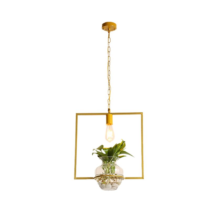 Ciondolo quadrato/rotondo/rotondo/zucca 1 lampadina in giù illuminazione in oro con pianta in vaso per soggiorno