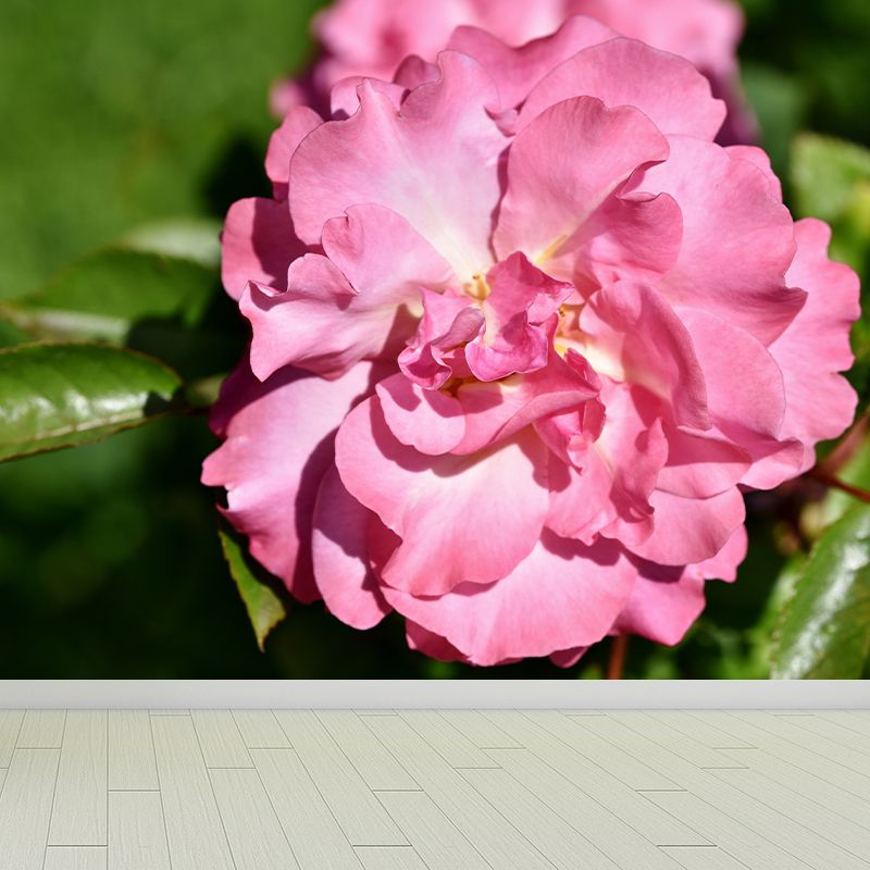 Beautiful Flower Mural Wallpaper Gust Room Decorative Wall Art, Personalized Size Available