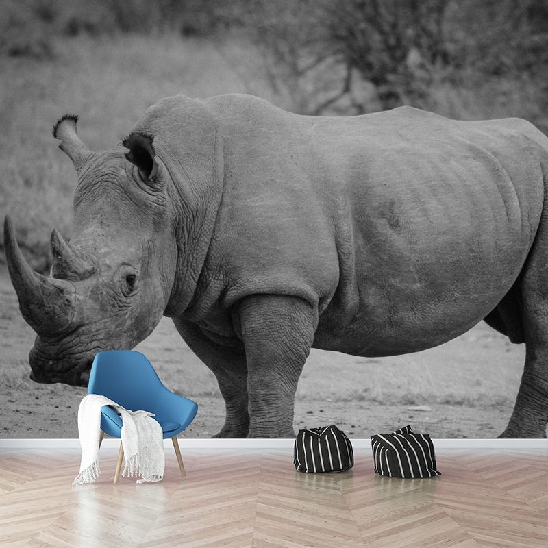 Rhinoceros Animal Mural Wallpaper for Dining Room Waterproof, Made to Measure