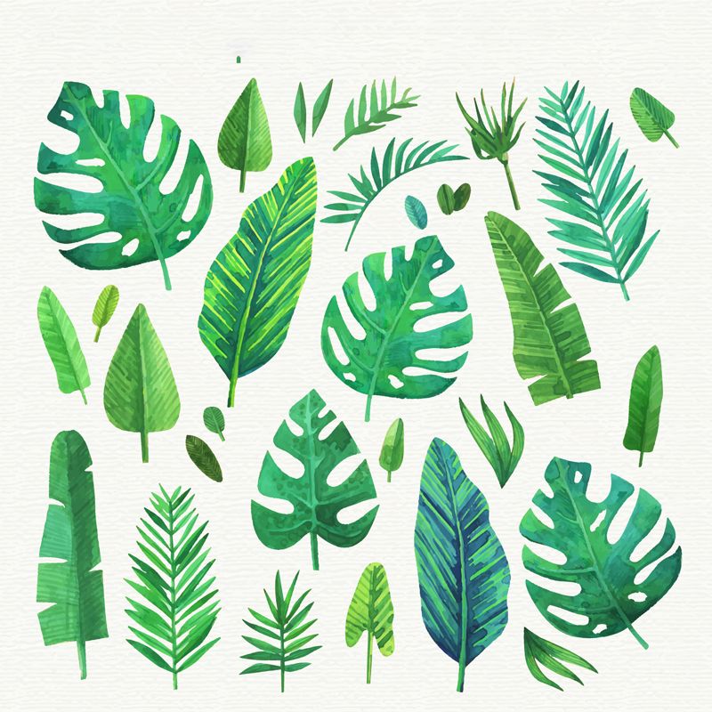 Stain-Proof Leaves Print Mural Tropical Non-Woven Wall Art, Custom Size Available