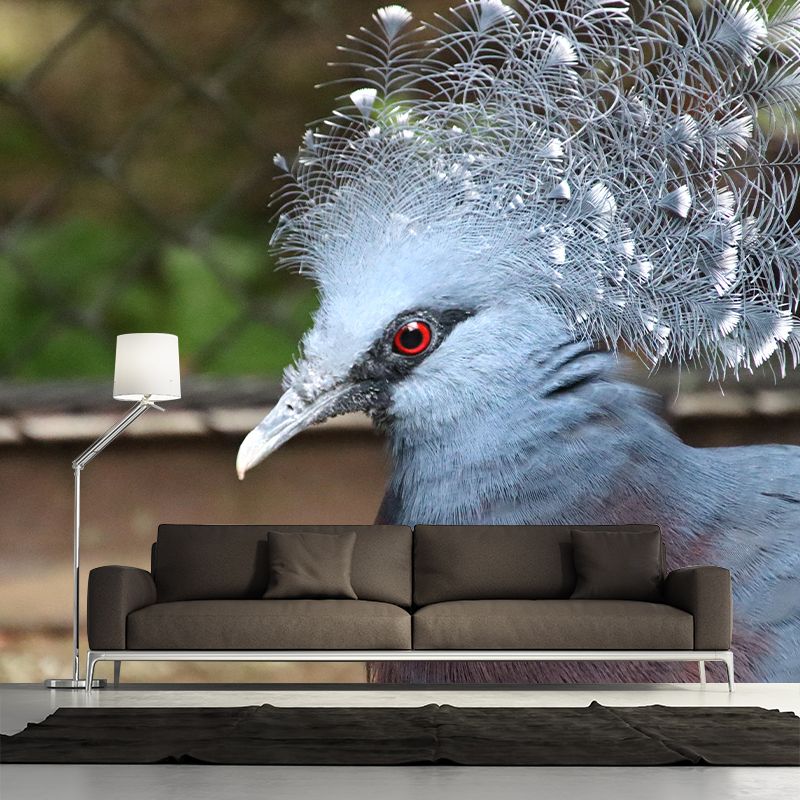 Victoria Crowned Pigeon Animal Mural Wallpaper for Living Room Home Decor