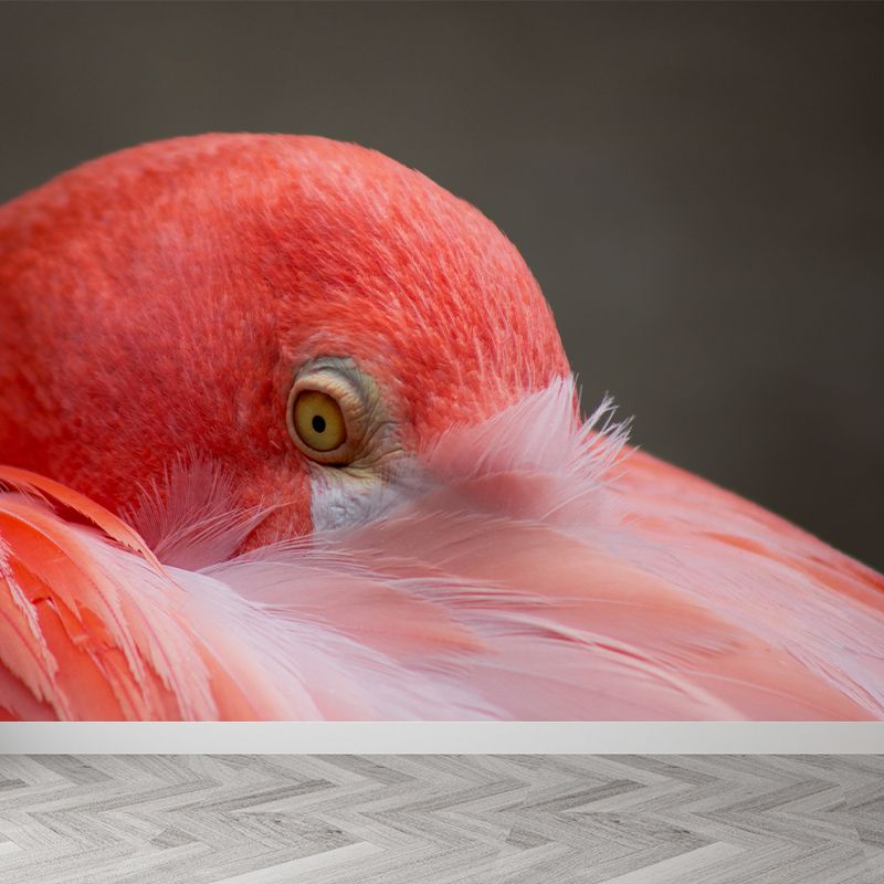 Tropical Flamingo Wall Mural Customized Waterproofing Wall Covering for Living Room