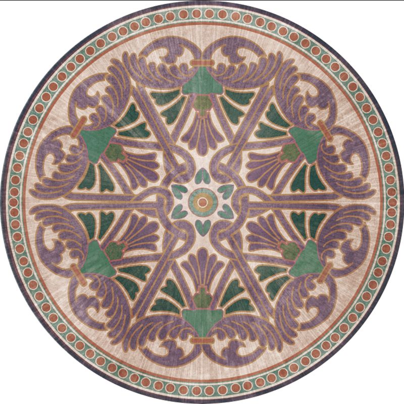 Brown Bohemian Area Carpet Americana Pattern Polyester Area Rug Stain Resistant Rug for Home Decor