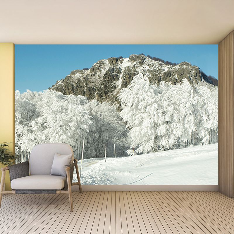 Contemporary Photography Eco-friendly Forest Mural Living Room Wall Mural