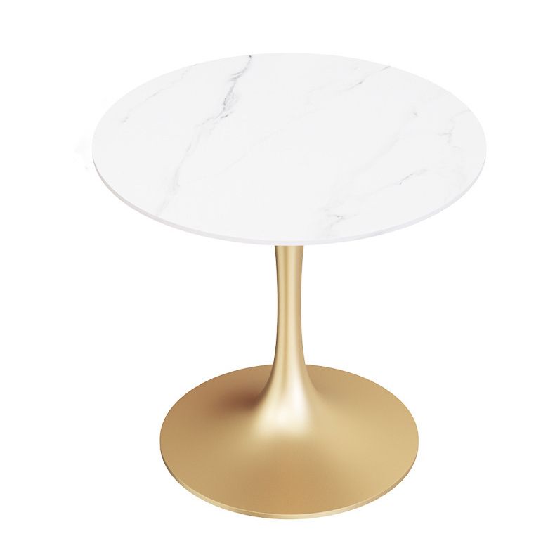 Glam Style Sintered Stone Dining Room Set Standard Height with Gold Base Dining Set