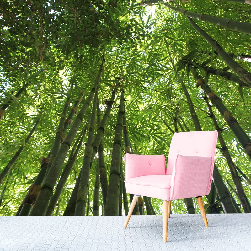 Green Bamboo Wall Mural Minimalist Decoration Stain Resistant for Sitting Room