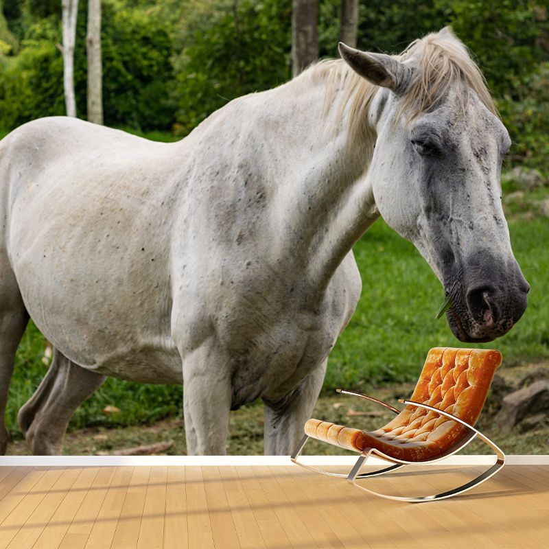 Horse Mural Contemporary Mildew Resistant Wall Covering for Living Room