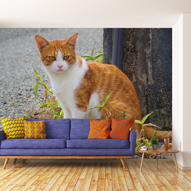 Horizontal Photography Orange Cat Mural Stain Resistant Wall Art for Living Room