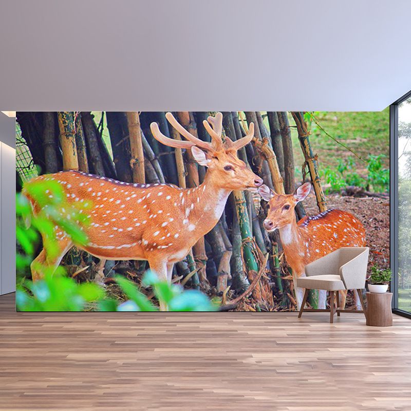 Deer Animal Mural Wallpaper for Bedroom Decor Moisture Resistant, Made to Measure
