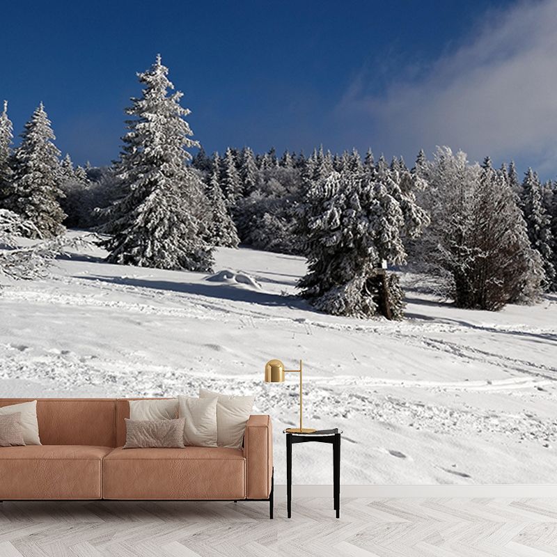 Wall Art Mural Photography Forest Wall Mural Wallpaper Bathroom