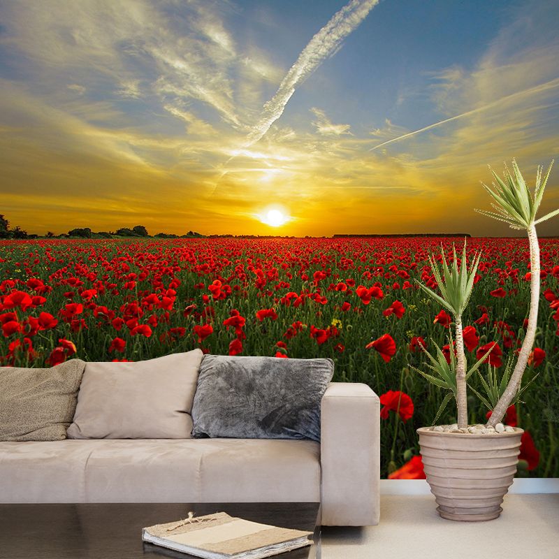Full Size Photography Modern Mural Decal with Blossoming Poppy for Living Room