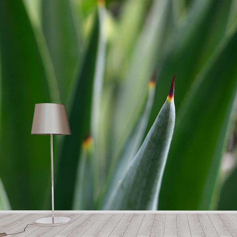 Green Aloe Vera Plant Wall Covering for Home Decoration, Moisture Resistant