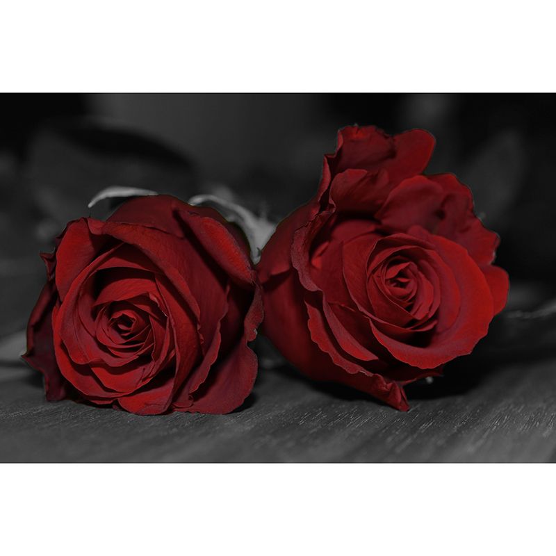 Roses Mural Wallpaper Wall Covering Mildew Resistant for Sleeping Room