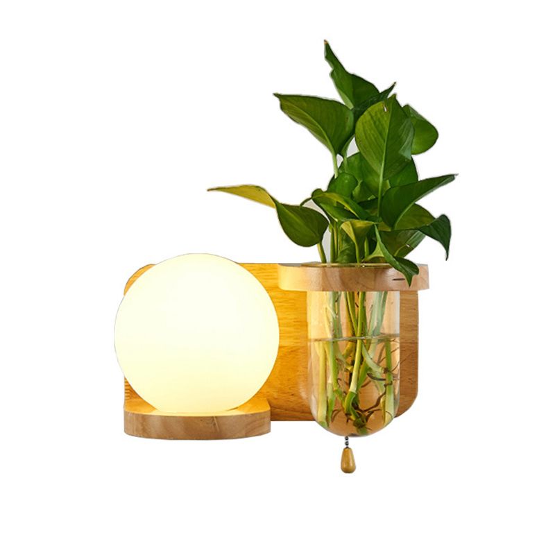 Round Shade Wall Lighting Modern Simple Wood Style Wall Light in Brown and White