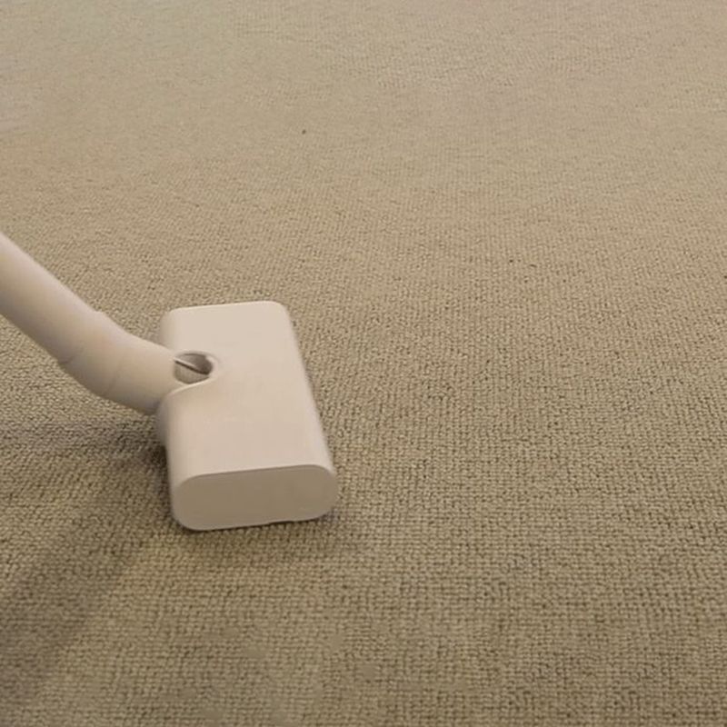 Contemporary Indoor Room Carpet Beige Solid Color Area Carpet Polyester Washable Indoor Carpet