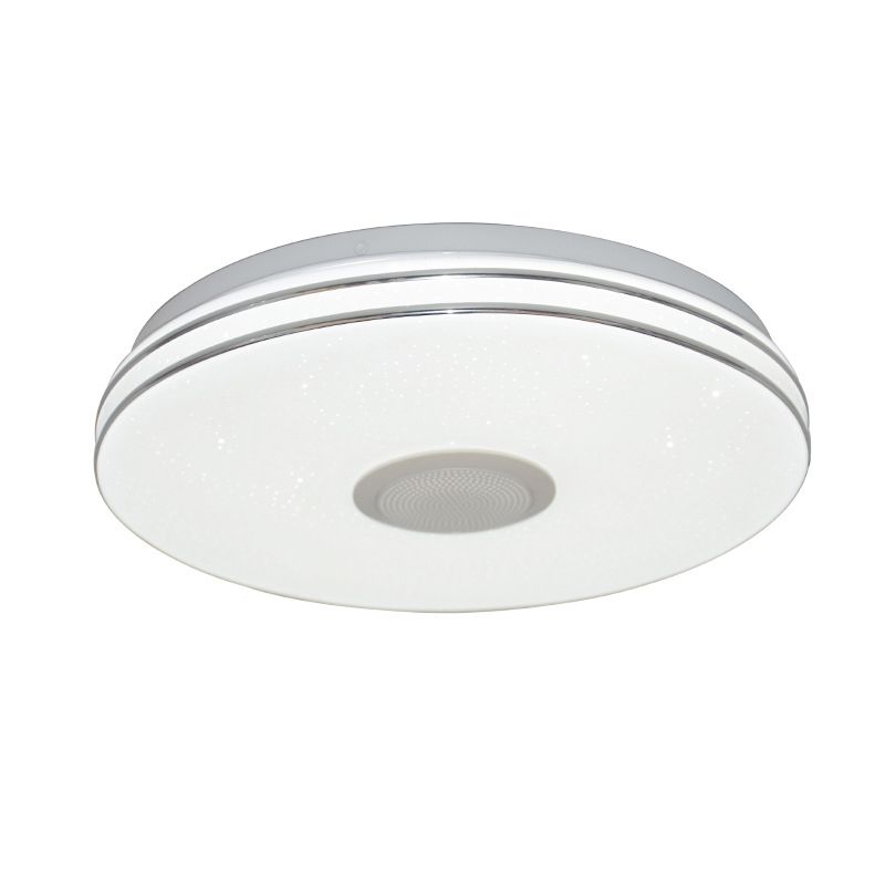 Flush Mount Ceiling Light Light Phone Control Light Bluetooth LED Light Living Room Bedroom Light
