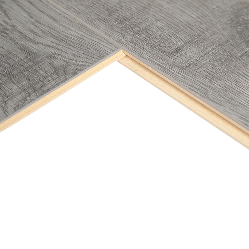 Modern Pine Laminate Flooring Click-Lock Waterproof Laminate Plank Flooring