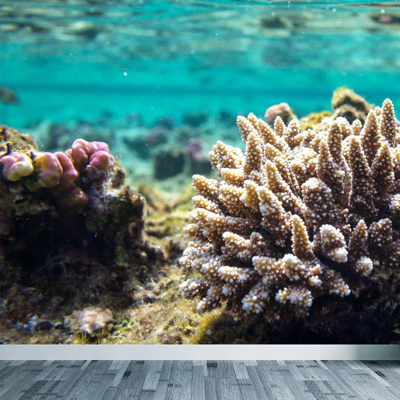 Bright Tropix Wall Paper Mural Large World Beneath the Ocean Surface Wall Decor for Room