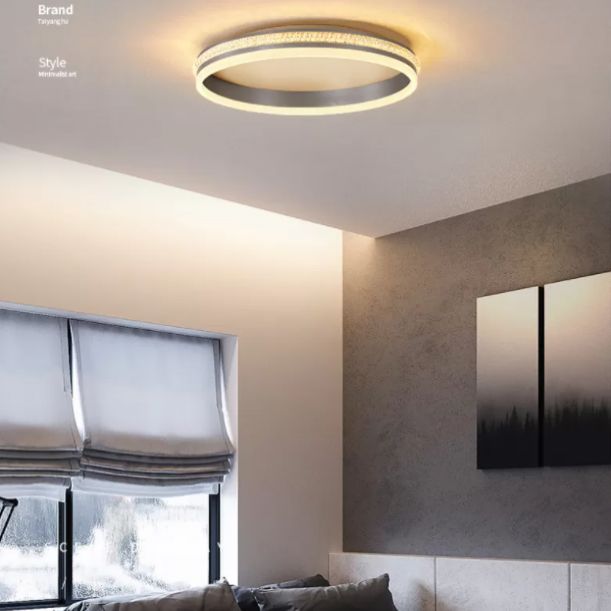 Fixation de la lumière du cercle 1 Légère Acrylique Légère Simplicité Simplicité Fixation du plafond Fixation du plafond