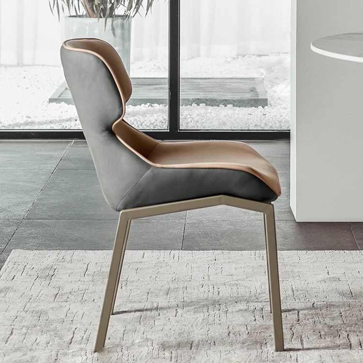 Modern Style Chairs Dining Chairs with Metal Legs for Kitchen