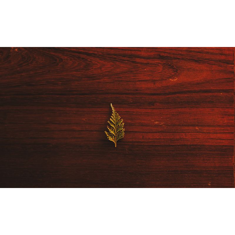 Industrial Wood Grain Wall Mural Home Living Room Bedroom Decals, Personalized Size