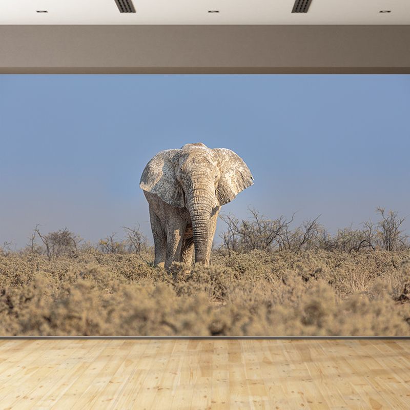 Elephant Animal Wall Covering for Home Decoration Waterproofing, Made to Measure
