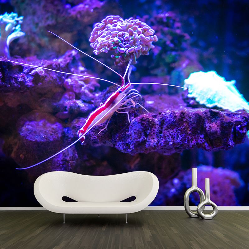 Underwater Creature Wall Decals for Girls Boys Bedroom, Moisture Resistant