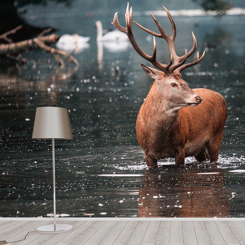 Deer Animal Mural Wallpaper Decorations for Sitting Room, Stain Resistant