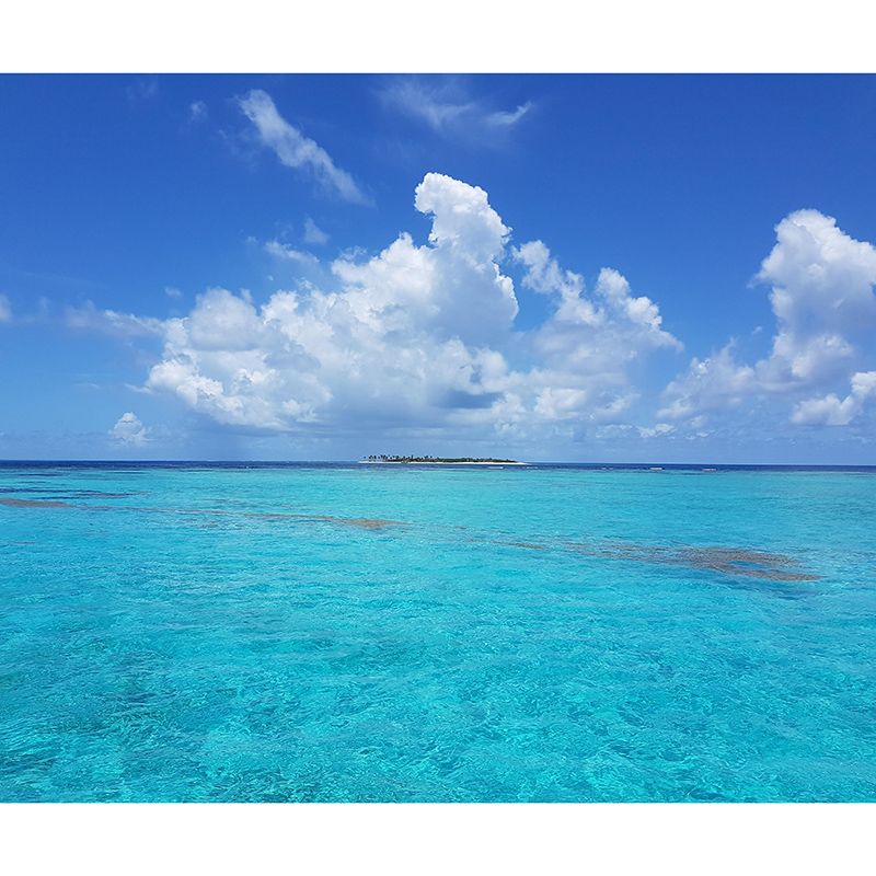 Contemporary Blue Sea Mural Soft Color Stain Resistant Wall Art for Living Room