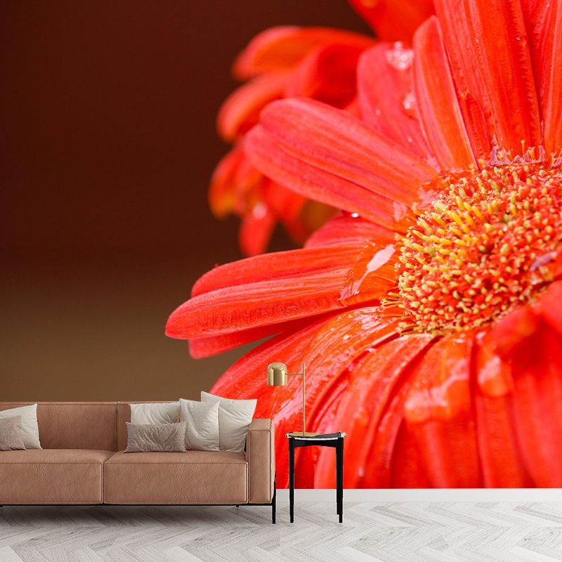 Photography Daisy Mural Wallpaper for Sitting Room Decor Multiple Sizes Available