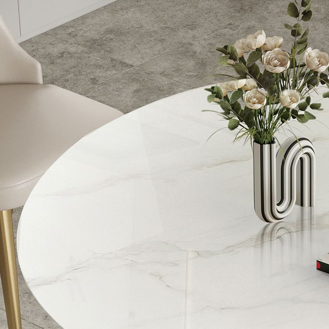 Nordic Glam Rectangle Sintered Stone Table Set 1/2/3/5/7 Pieces Dining Set