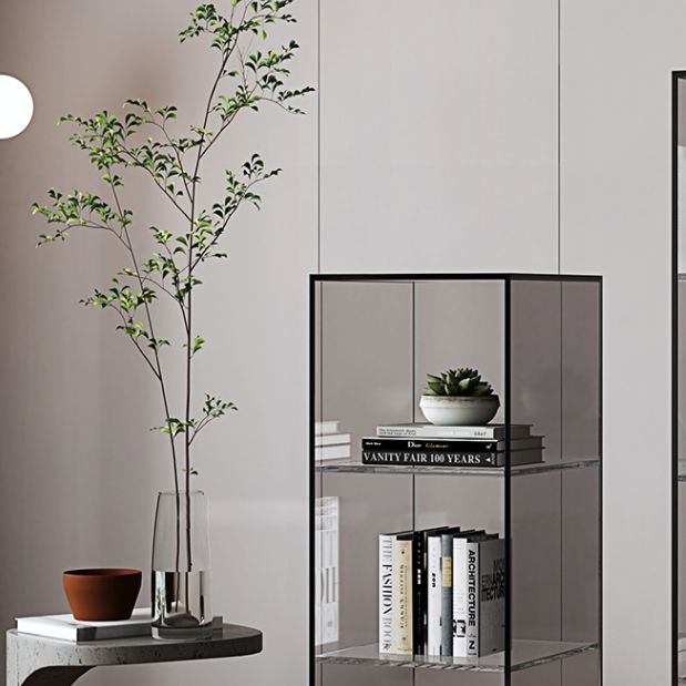 Closed Back Storage Bookshelf Scandinavian Standard Acrylic Bookcase