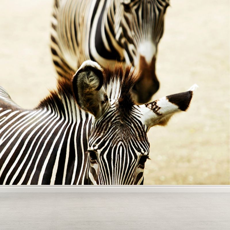 Contemporary Africa Zebra Mural Decal Pastel Color Natural Animals Wall Covering