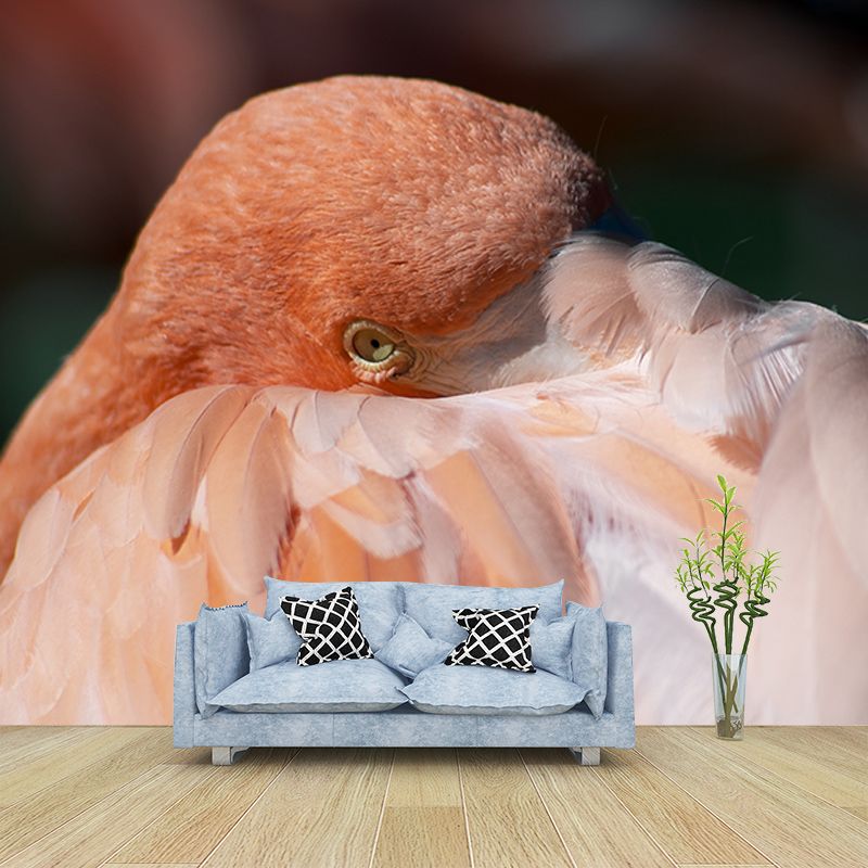 Flamingo Customized Wall Mural Contemporary Photography for Living Room
