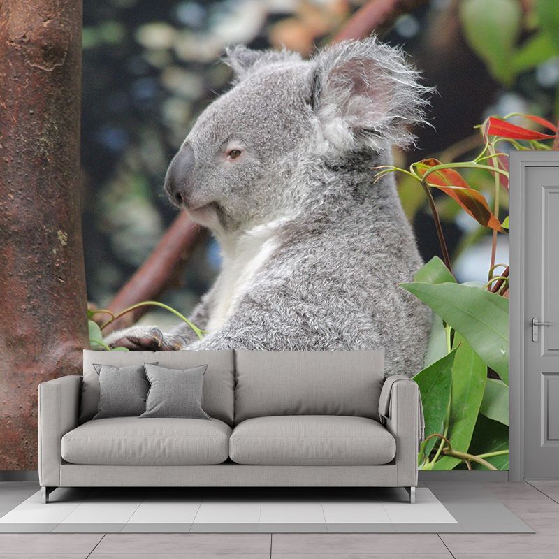 Koala Animals Mural Wallpaper Washable Living Room Wall Decor, Moisture Resistant